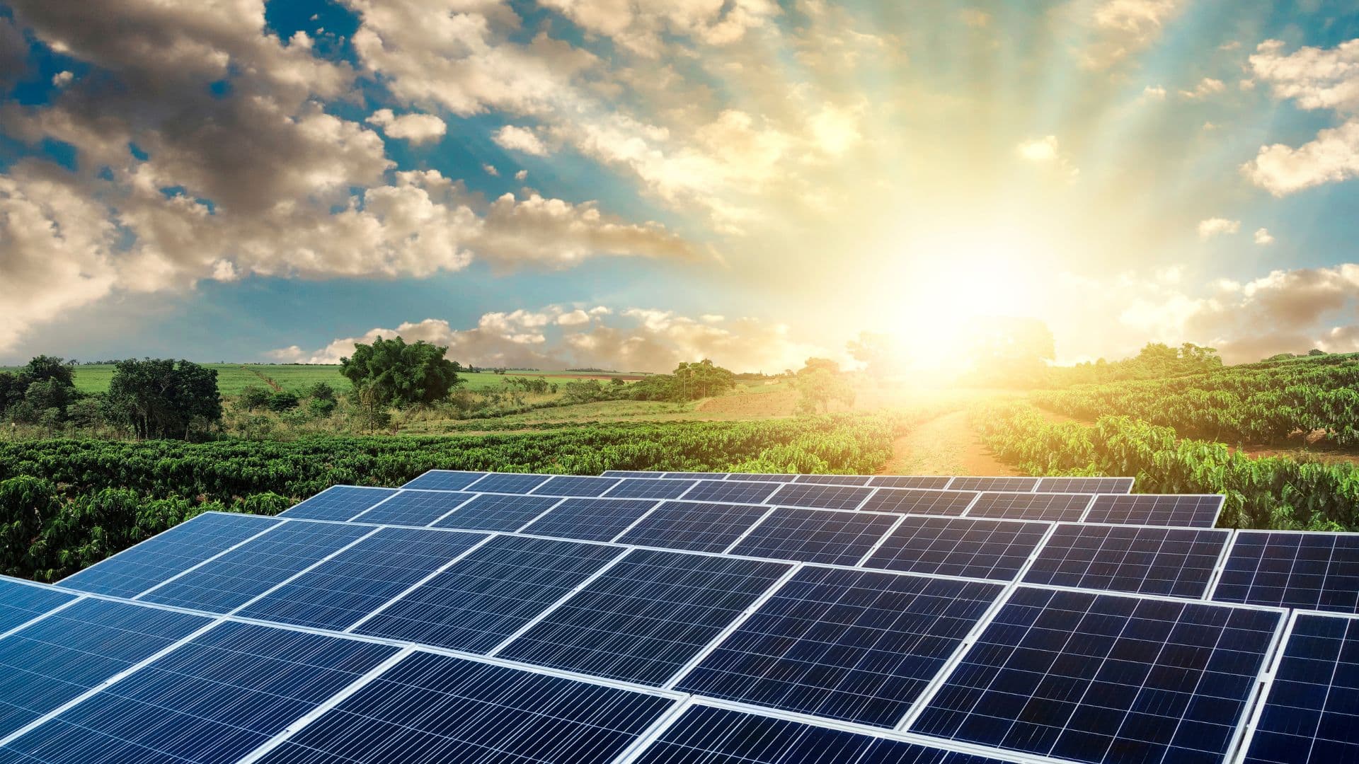 Renewable Energy Projects Drive Growth Across Southeast Asia