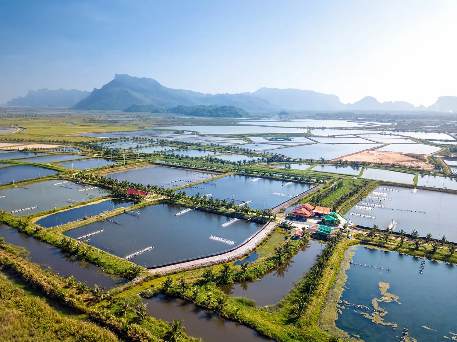 Aquaculture Development: A Key Driver of Food Security and Economic Growth