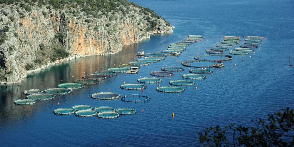Aquaculture