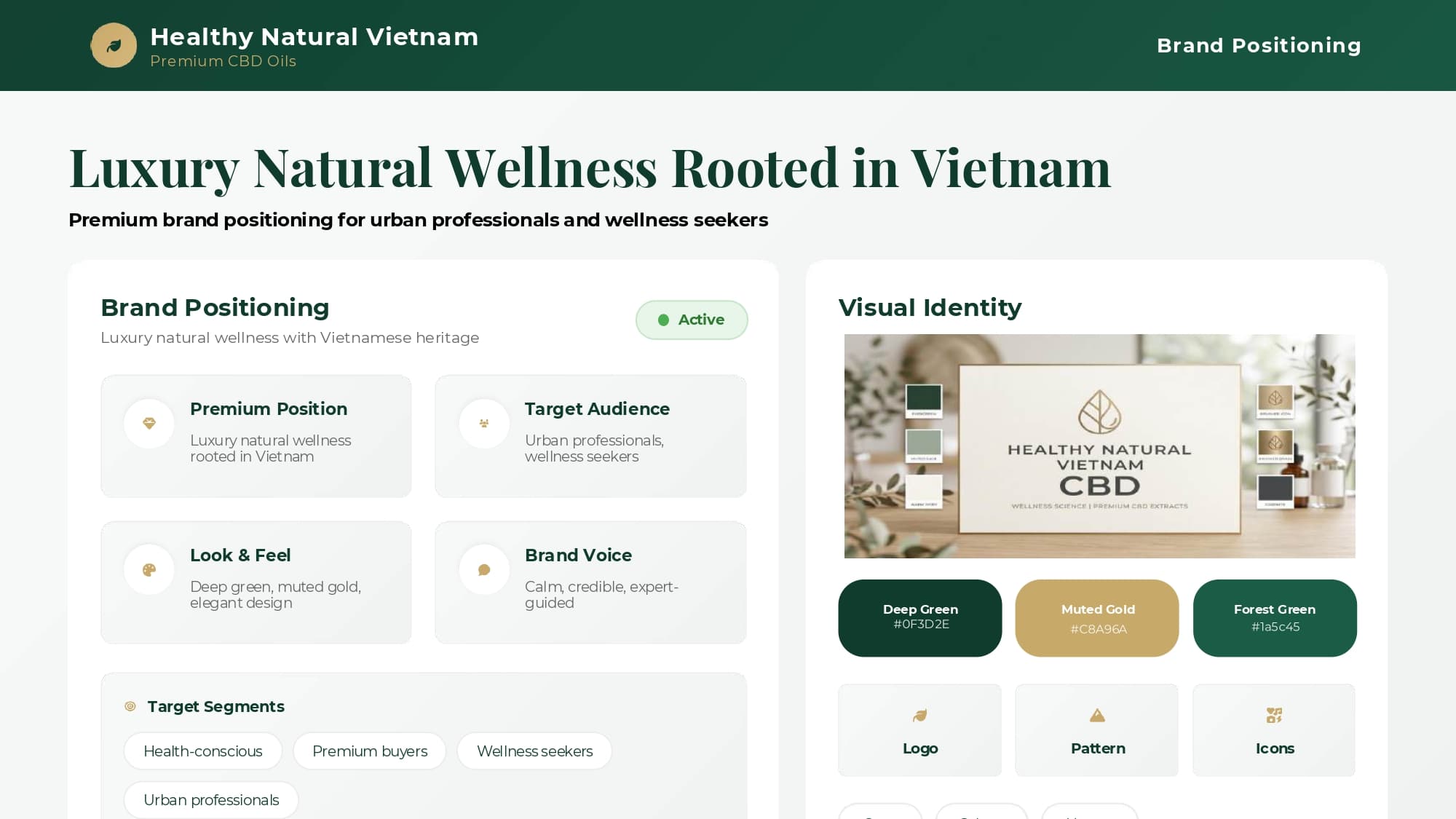 Healthy Natural Vietnam brand positioning and visual identity